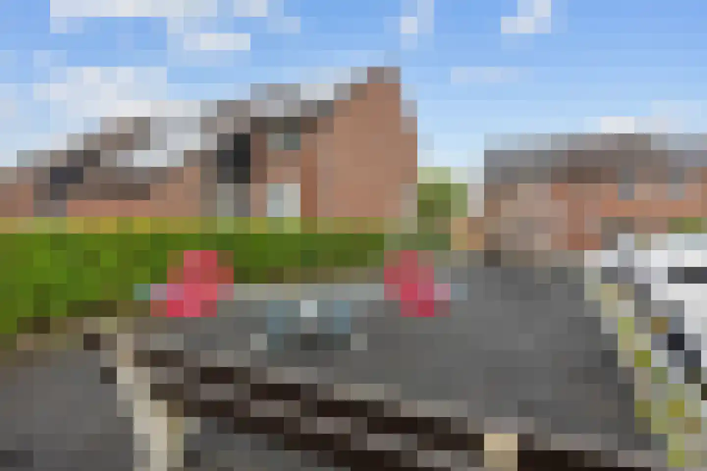 De Populieren 18 Bedum thumbnail 51