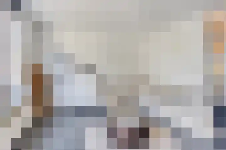 De Populieren 18 Bedum thumbnail 7