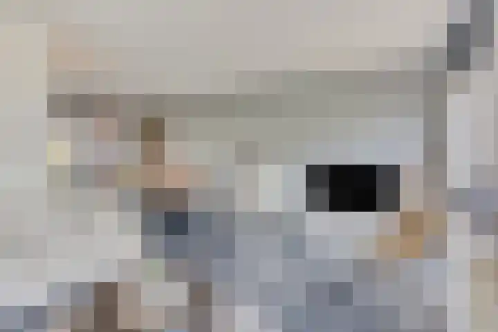 De Populieren 18 Bedum thumbnail 8