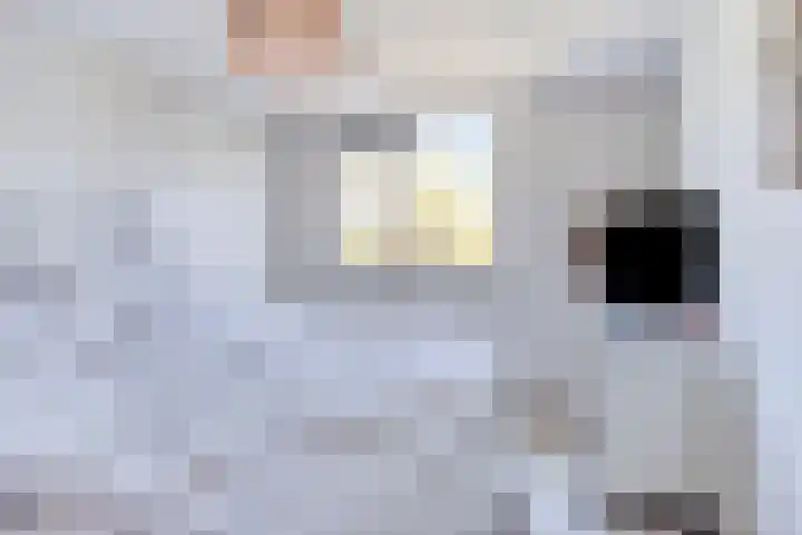 De Populieren 18 Bedum thumbnail 9