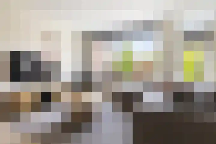 De Populieren 19 Bedum thumbnail 11