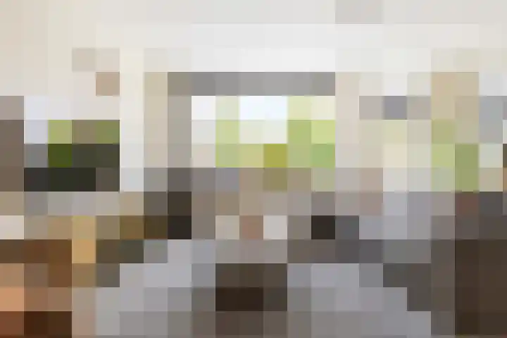 De Populieren 19 Bedum thumbnail 13