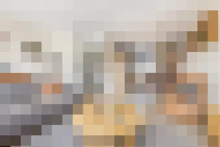 De Populieren 19 Bedum thumbnail 14