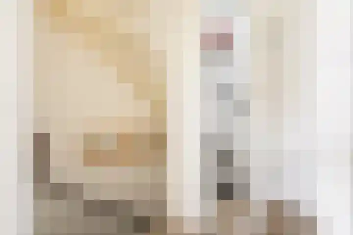De Populieren 19 Bedum thumbnail 21