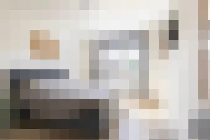 De Populieren 19 Bedum thumbnail 22