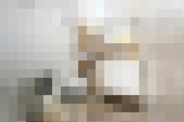 De Populieren 19 Bedum thumbnail 26