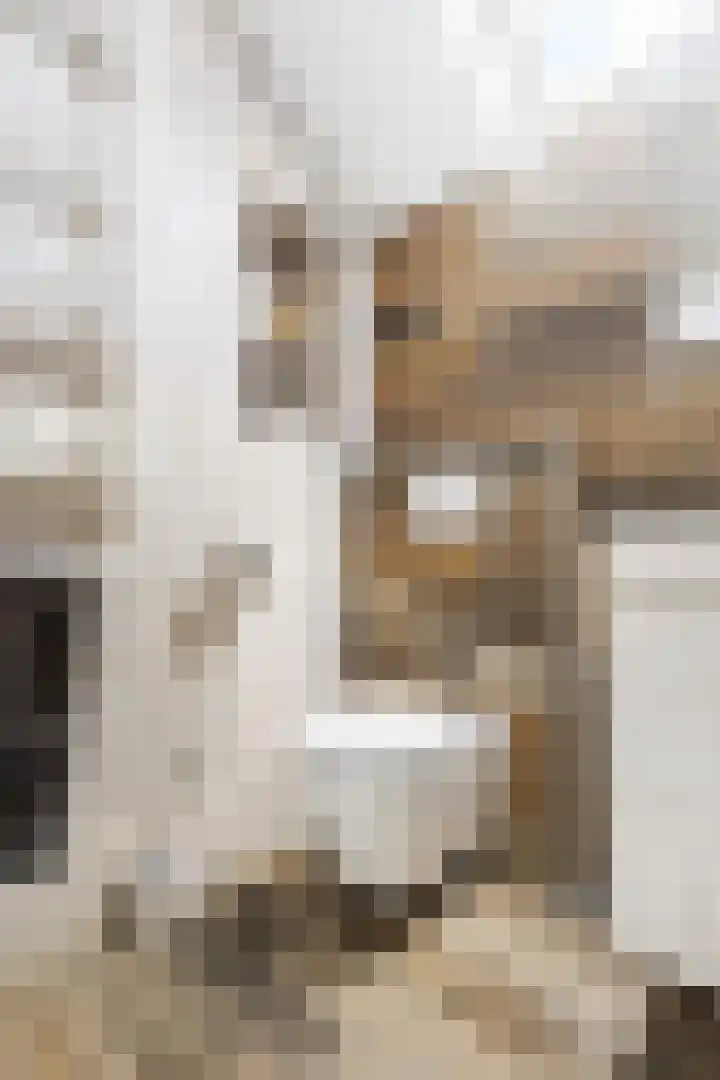 De Populieren 19 Bedum thumbnail 29