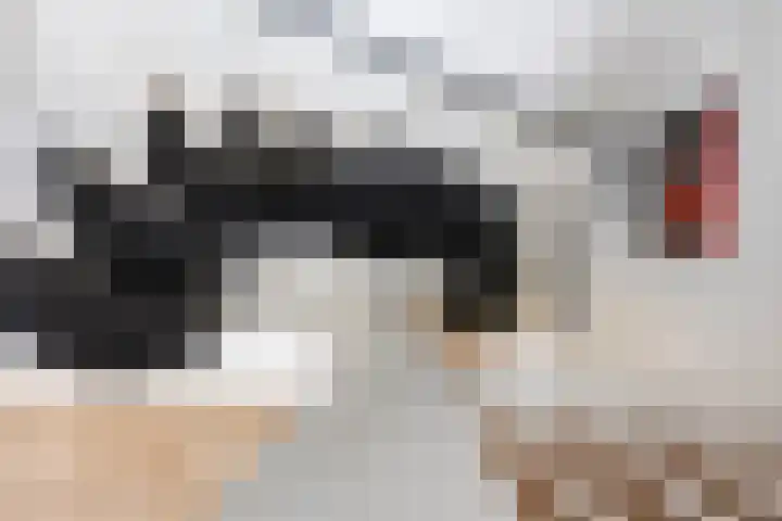 De Populieren 19 Bedum thumbnail 32