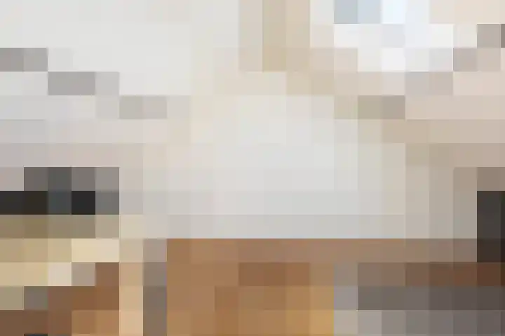 De Populieren 19 Bedum thumbnail 34