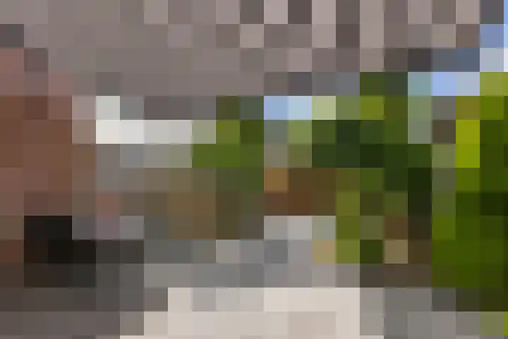 De Populieren 19 Bedum thumbnail 36