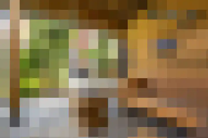 De Populieren 19 Bedum thumbnail 38