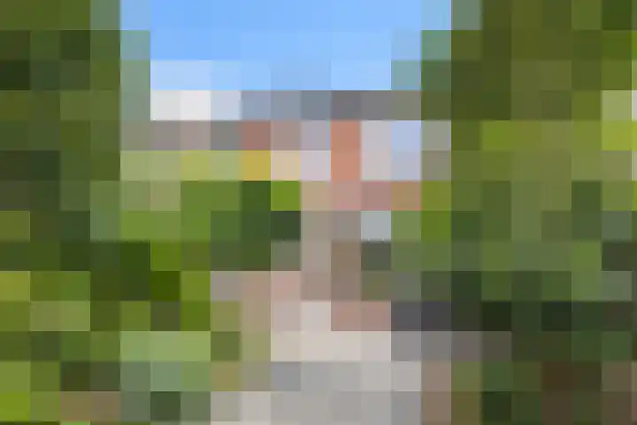 De Populieren 19 Bedum thumbnail 41