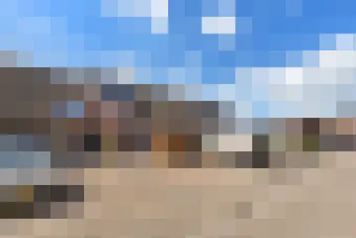 De Populieren 19 Bedum thumbnail 45