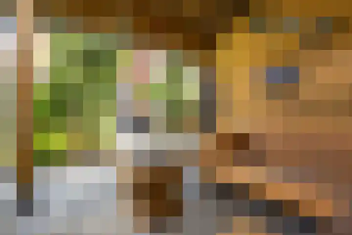 De Populieren 19 Bedum thumbnail 5