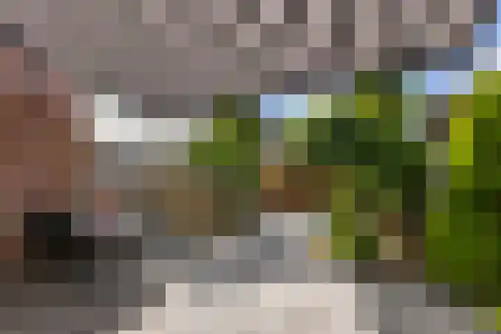 De Populieren 19 Bedum thumbnail 6