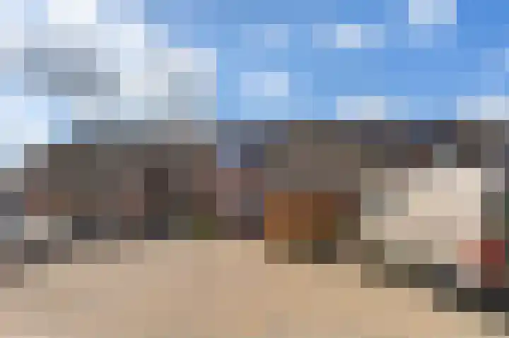 De Populieren 19 Bedum thumbnail 8