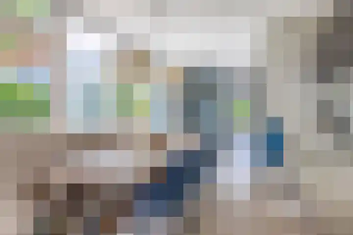 de Populieren 2 Bergschenhoek thumbnail 17