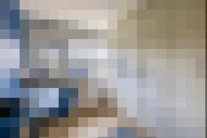 de Populieren 2 Bergschenhoek thumbnail 25