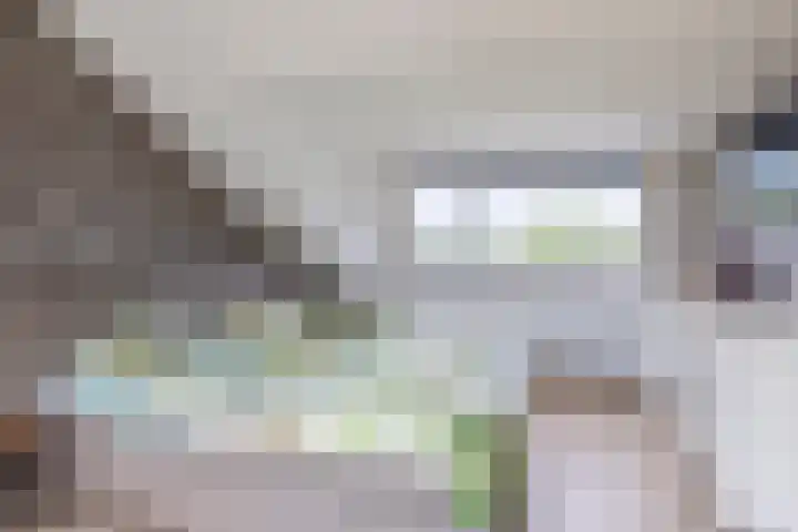 de Populieren 2 Bergschenhoek thumbnail 32