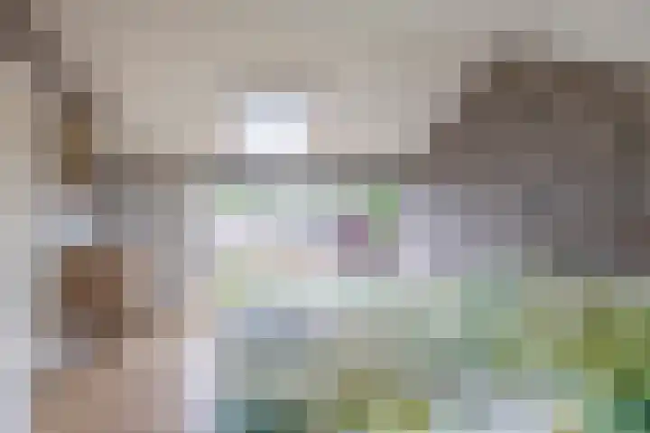 de Populieren 2 Bergschenhoek thumbnail 33