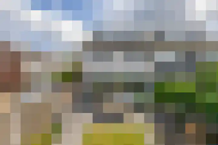 de Populieren 2 Bergschenhoek thumbnail 34