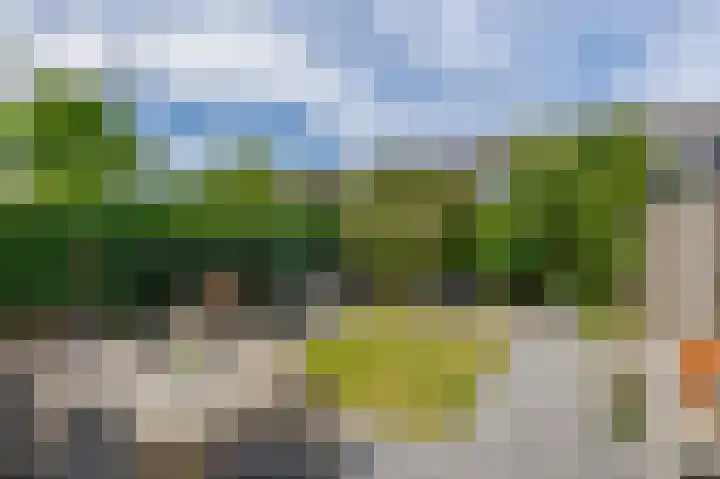 de Populieren 2 Bergschenhoek thumbnail 35