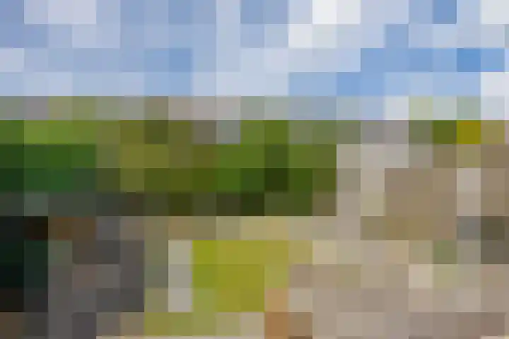 de Populieren 2 Bergschenhoek thumbnail 36