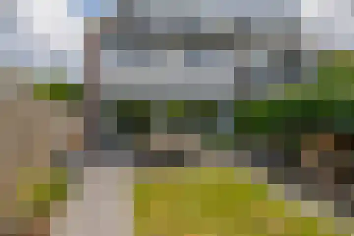 de Populieren 2 Bergschenhoek thumbnail 37