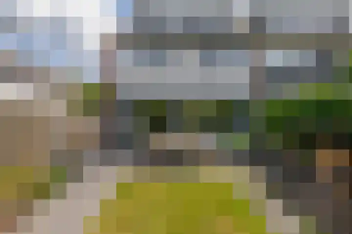 de Populieren 2 Bergschenhoek thumbnail 38