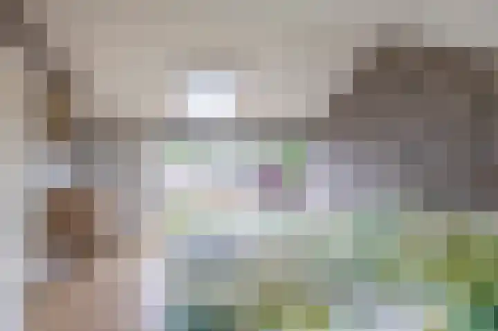 de Populieren 2 Bergschenhoek thumbnail 4