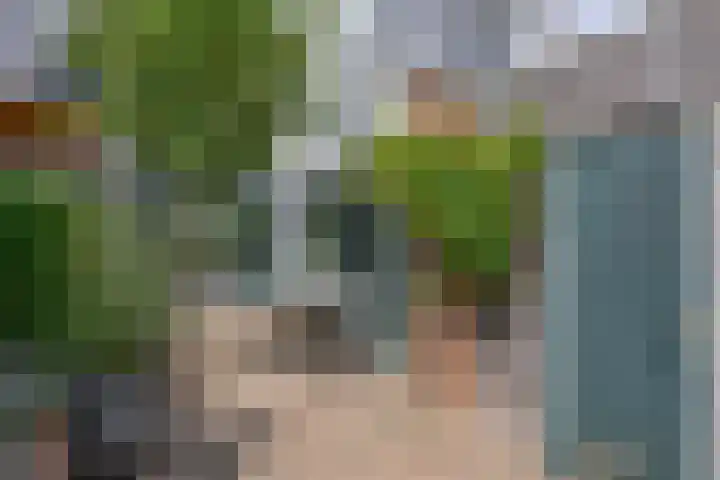 de Populieren 2 Bergschenhoek thumbnail 6