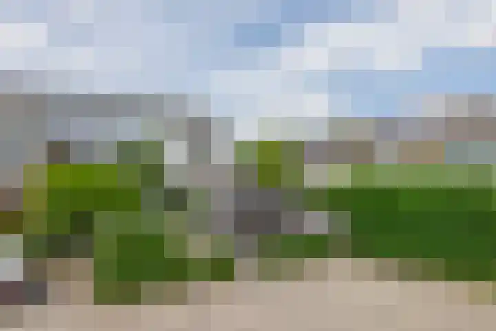 de Populieren 2 Bergschenhoek thumbnail 8