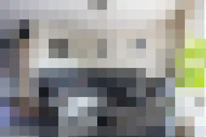 De Populieren 3 Bedum thumbnail 11