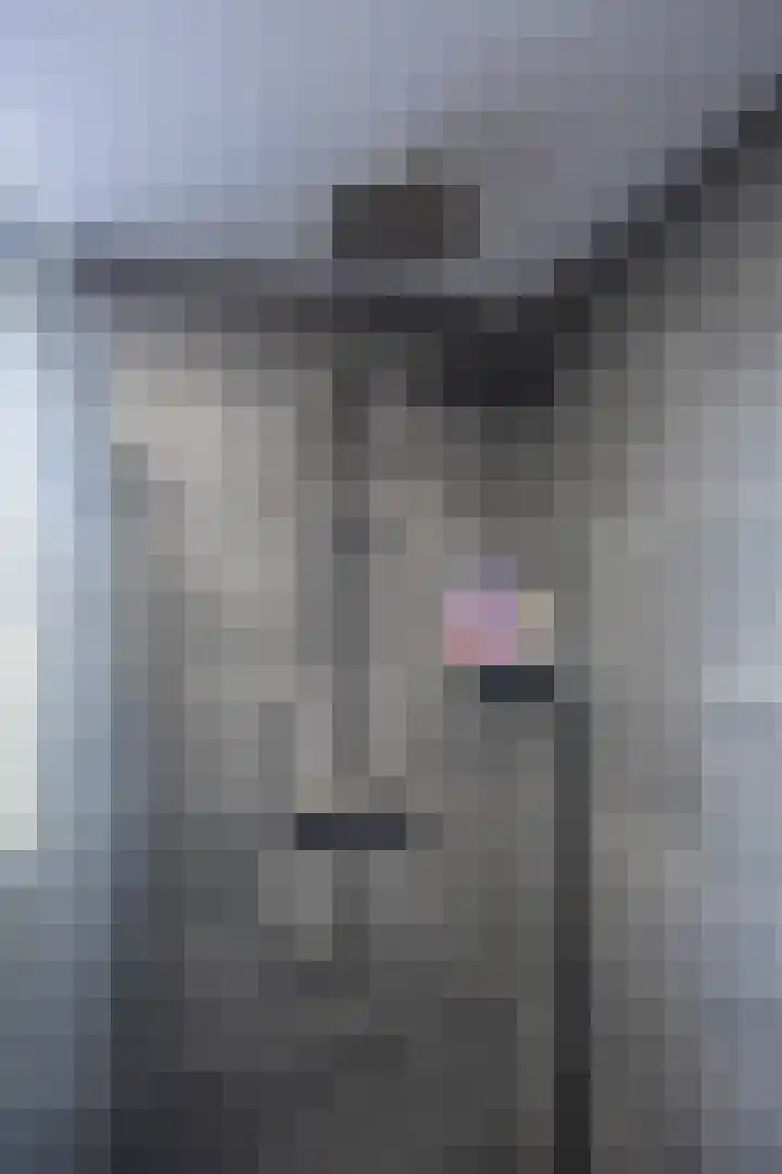 De Populieren 3 Bedum thumbnail 23
