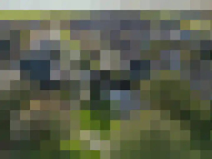 De Populieren 3 Bedum thumbnail 4