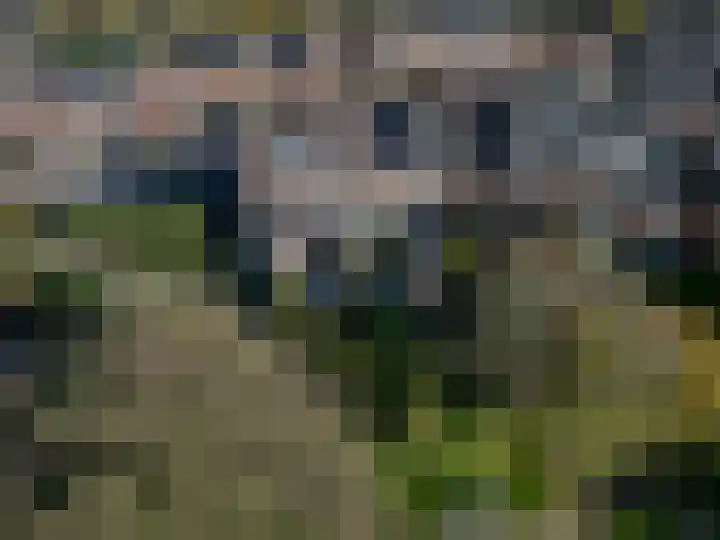 De Populieren 3 Bedum thumbnail 5