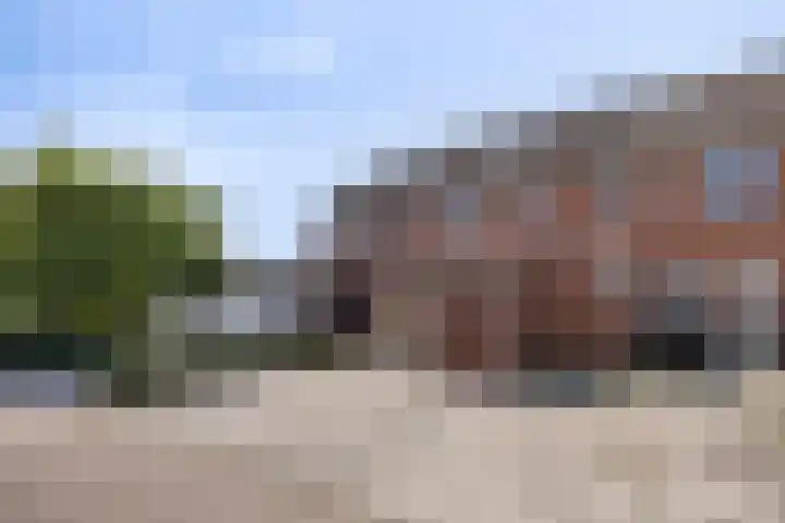 De Populieren 5 Bedum thumbnail 12