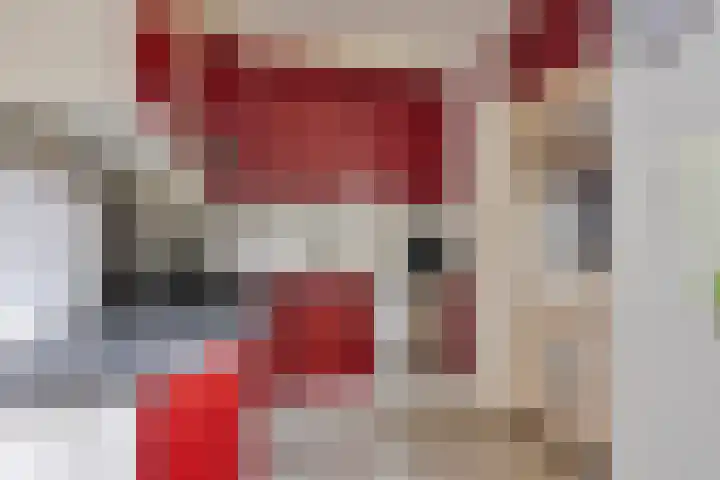 De Populieren 5 Bedum thumbnail 15