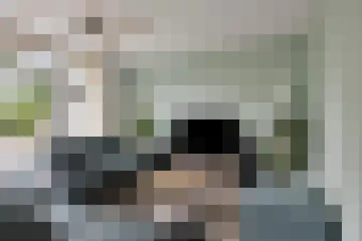 De Populieren 5 Bedum thumbnail 18