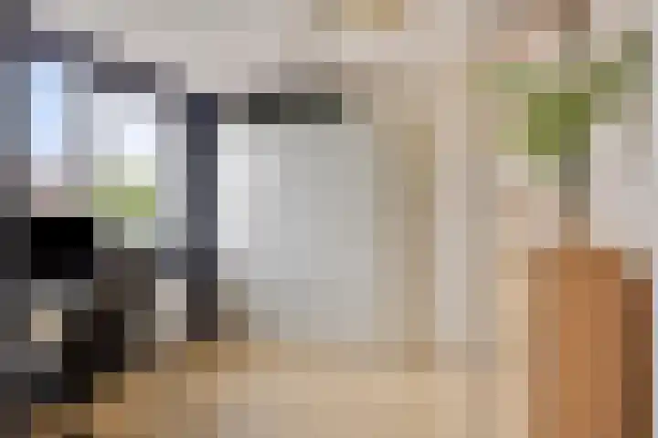 De Populieren 5 Bedum thumbnail 25