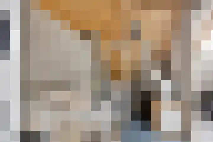 De Populieren 5 Bedum thumbnail 29