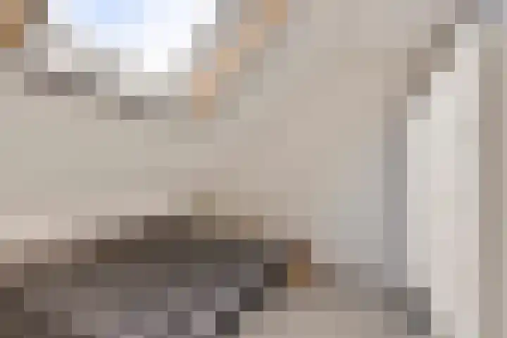 De Populieren 5 Bedum thumbnail 30