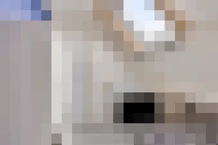 De Populieren 5 Bedum thumbnail 31