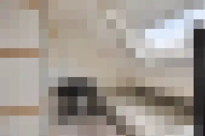 De Populieren 5 Bedum thumbnail 32