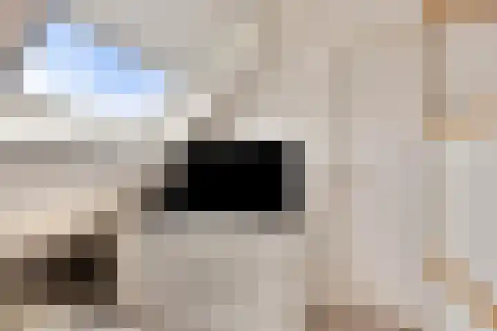 De Populieren 5 Bedum thumbnail 33