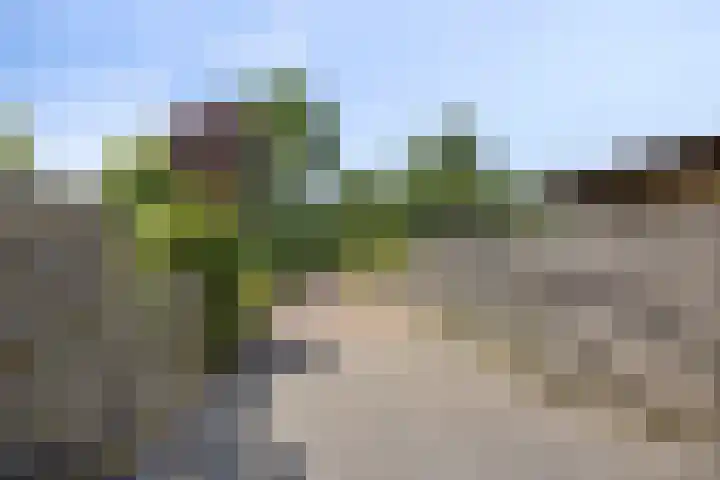De Populieren 5 Bedum thumbnail 35