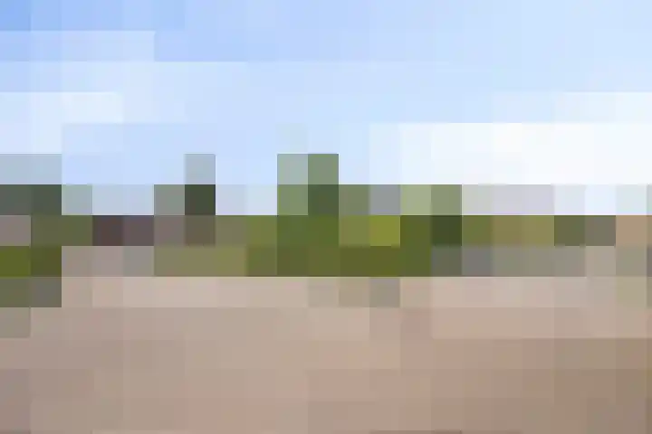 De Populieren 5 Bedum thumbnail 38