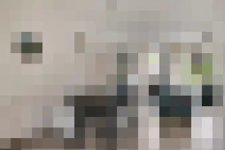 De Populieren 5 Bedum thumbnail 4