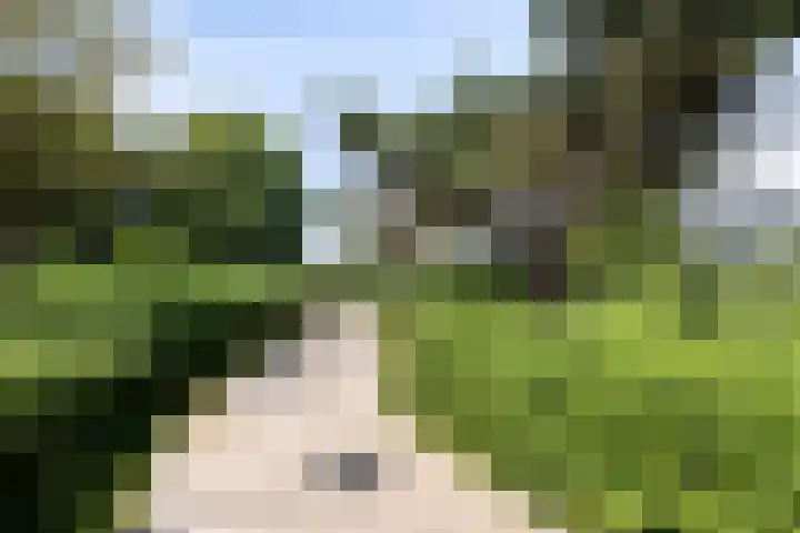 De Populieren 5 Bedum thumbnail 40