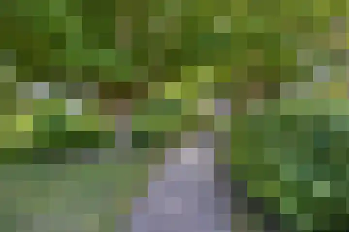De Populieren 5 Bedum thumbnail 41